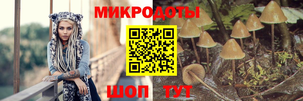 Галлюциногенные грибы Psilocybe  Псилоцибиновые грибы мухоморы  Вход с VPN  Нерюнгри 